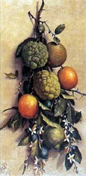 Fruits